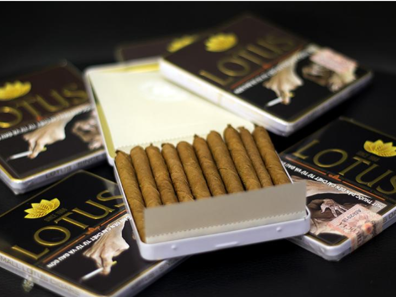 Chú trọng các bước đóng gói xì gà tươi